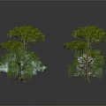 Various Types of Green and White Trees with Diverse Shapes on Grey Background