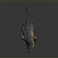 3D Fantasy Creature Character With Spiked Back Blue Yellow Scaly Skin And Open Mouth