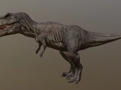 Realistic Tyrannosaurus Rex Dinosaur 3D Model With Open Mouth And Textured Skin 3d model