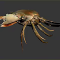 Golden Orange Crab With Shiny Shell Displaying Claws And Legs On Dark Background