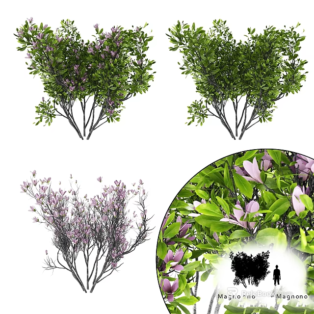 Decorative Ornament Set With Various Tree Designs Purple Flowers And Green Leaves 3d model 