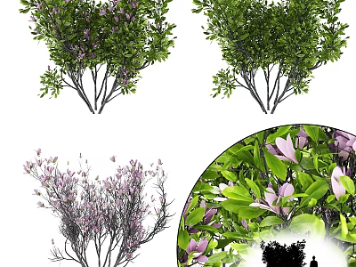 Decorative Ornament Set With Various Tree Designs Purple Flowers And Green Leaves 3d model