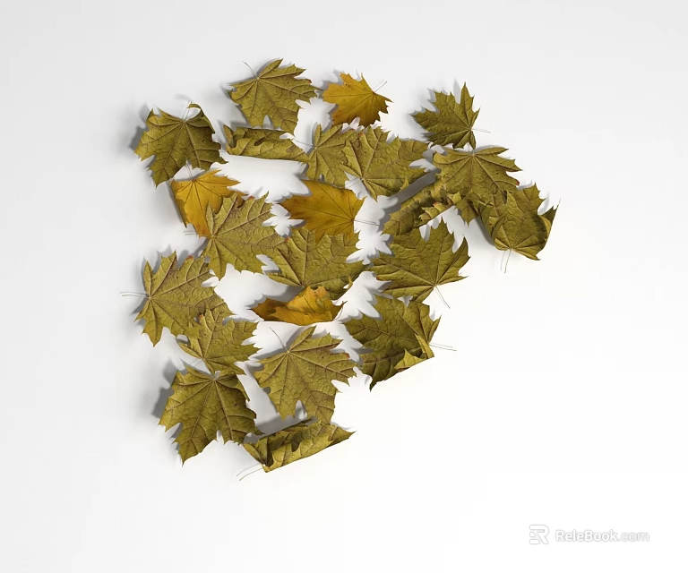 Natural Ground Cover With Scattered Yellow Green Maple Leaves On White Background 3d model 