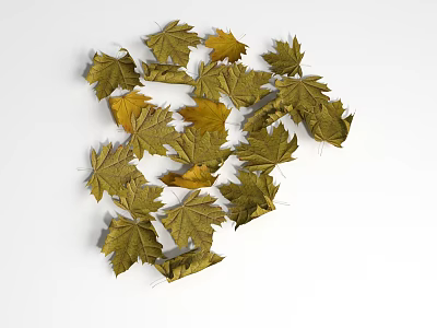 Natural Ground Cover With Scattered Yellow Green Maple Leaves On White Background 3d model