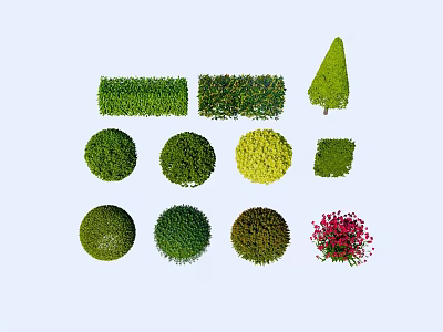 Different Types of Garden Shrubs with Round Conical Rectangular Shapes and Green Yellow Red Foliage 3d model