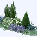 Diverse Garden Shrubs With Green Coniferous Plants Purple Lavender And White Blooms