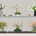 Colorful Flowers in Vases Including Orchids Roses Arranged on Shelves with Decorative Balls