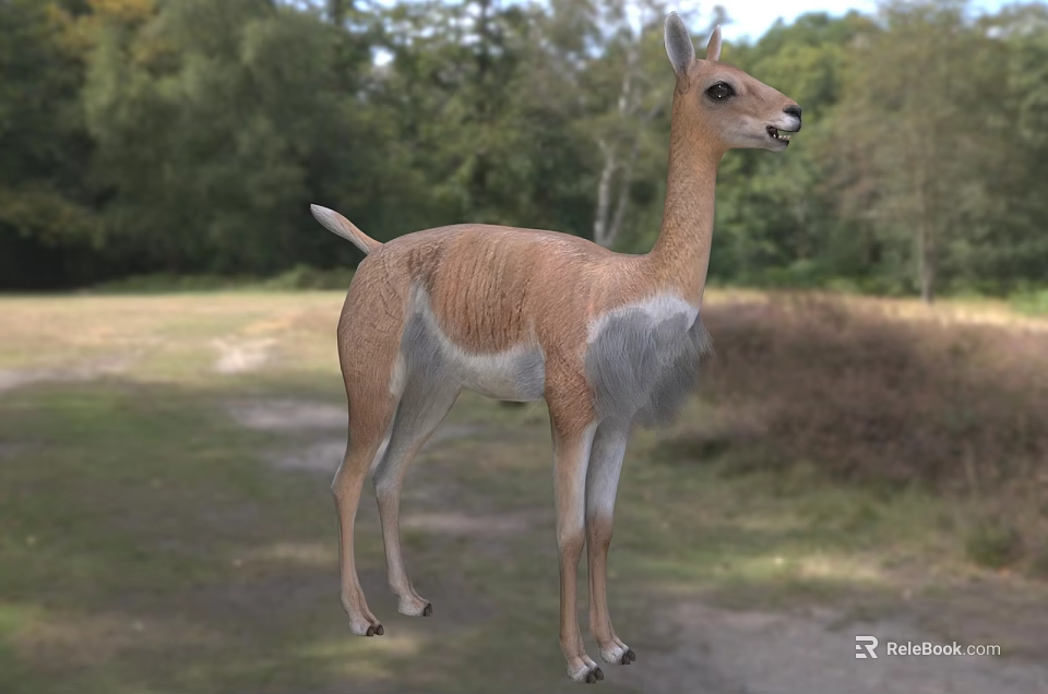 Reptile In Natural Outdoor Landscape With Vegetation 3d model