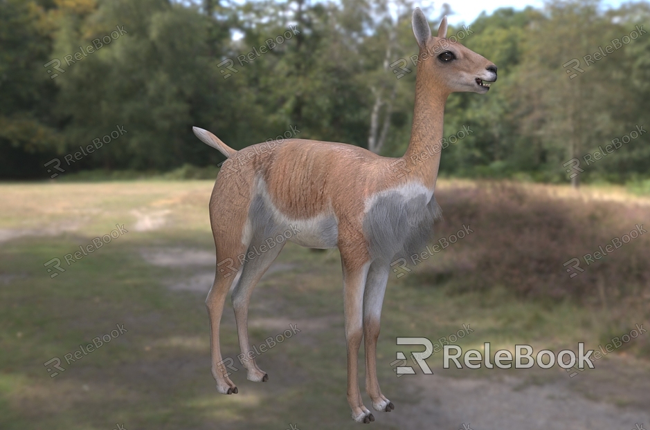 alpaca vicuna animal model