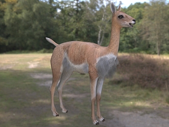 alpaca vicuna animal 3d model