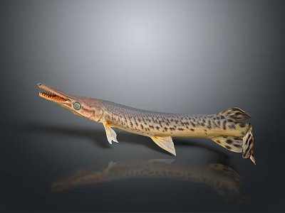 Spotted Aquatic Animal With Long Snout And Reflection On Surface 3d model