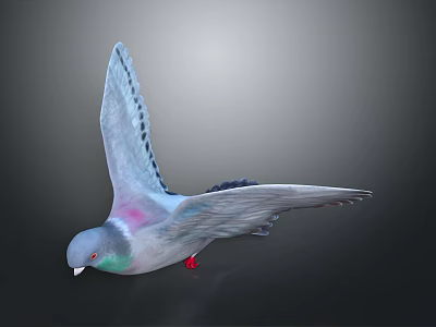3D Pigeon Model With Spread Wings Gray Pink Green Feathers And Red Feet 3d model