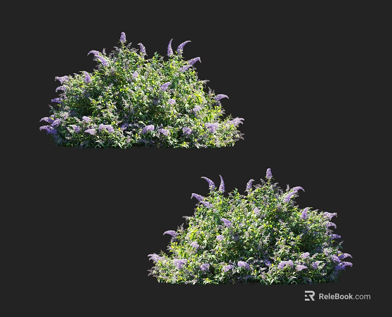 Lush Green Leaf Shrubs With Purple Flowers In Garden Landscape 3d model 