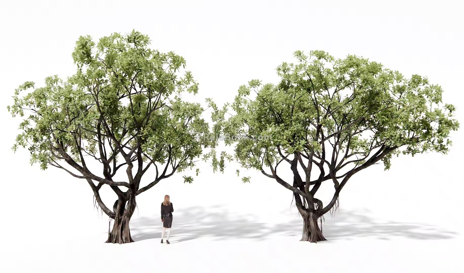 Landscape Tree Banyan Tree Big Tree Landscape Tree 3d model