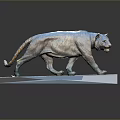 Realistic Tiger Sculpture With Bronze Blue Finish Walking Pose On White Plinth
