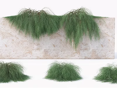 Lush Draping Vines Growing On Natural Stone Wall With Dense Green Foliage 3d model