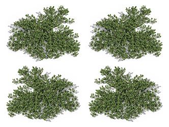 Modern Vine Climbing Vine Plant 3d model