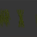 Different Shaped Green Organ Hair Structures With Slender Branches And Reflections