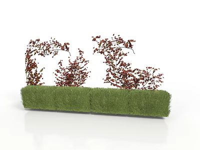 Landscaped Shrubs with Red Small Leaves on Green Grass Base Design 3d model