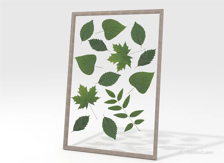 Framed Pressed Green Leaves Collection With Various Botanical Wall Art 3d model 