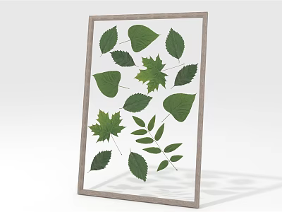Framed Pressed Green Leaves Collection With Various Botanical Wall Art 3d model