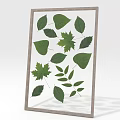 Framed Pressed Green Leaves Collection With Various Botanical Wall Art