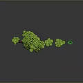 Green Plants Arrangement With Main Tree And Smaller Trees In Landscape