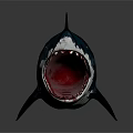 Fierce Dark Blue Shark With Open Mouth And Sharp Teeth Detailed Texture 3d model