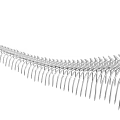 Detailed Anatomical Structure of Organ and Hair with Scientific Medical Features and Microscopic Details