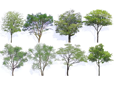 Various Arbor Trees Featuring Green Leaves And Different Canopy Shapes 3d model