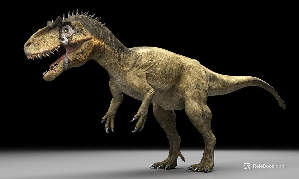 Predatory Reptile Dinosaur Model With Sharp Teeth Rough Skin And Standing Posture 3d model 