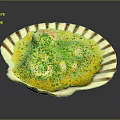 Creamy Yellow Savory Dish Served in Shell Shaped Plate Topped with Green Seasoning and White Chunks