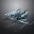Two Colorful Fish With Blue Black White Patterns Elegant Fins Tails On Dark Reflective Background