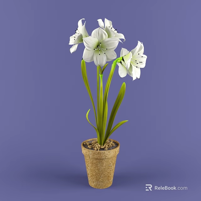 White Flowered Bonsai Potted Plant With Long Green Leaves And Brown Pot On Purple Background 3d model 