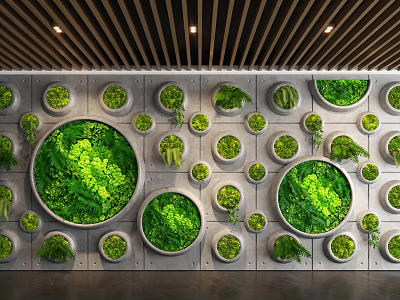Living Plant Wall With Circular Design And Various Green Plants In Modern Interior 3d model