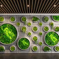Living Plant Wall With Circular Design And Various Green Plants In Modern Interior