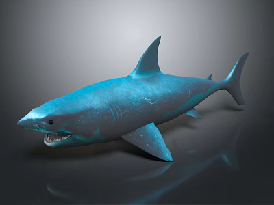 Blue Shark With Sharp Teeth And Dorsal Fin 3D Model On Gray Background 3d model