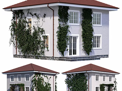 Attractive Detached House Exterior With White Walls Red Roof And Climbing Vines 3d model