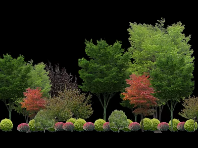 Various Arbor Tree Species With Green Red Foliage in Landscaping Design 3d model