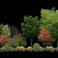 Various Arbor Tree Species With Green Red Foliage in Landscaping Design
