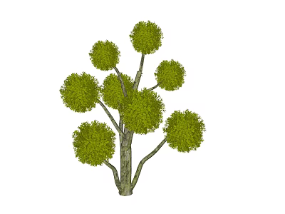 Tree modeling tree lollipop 3d model Tree modeling tree lollipop 3d model