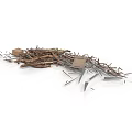 Pile of Scrap Metal and Wooden Pieces with Nails and Small Boards