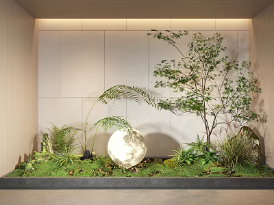 Modern Natural Garden Miniature With Green Plants White Sphere Ferns Small Tree And Wall Background 3d model