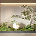 Modern Natural Garden Miniature With Green Plants White Sphere Ferns Small Tree And Wall Background
