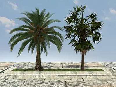 Tall Palm Trees Growing in Stone Pavement With Green Grass and Blue Sky 3d model