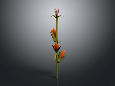 Corn Plant With Green Stem Bearing Orange Corn Cobs And Red Silk Tassels 3d model