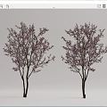 Modern Peach Tree Peach Blossom Peach Tree 3d model