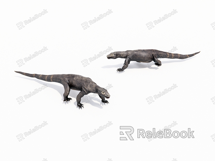 Komodo dragon lizard model