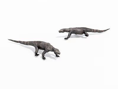 Two Monitor Lizards With Dark Skin And Striped Bodies Walking On White Background 3d model