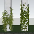 Various Decorative Vines Growing On White Columns With Green Grass And Stone Pavement